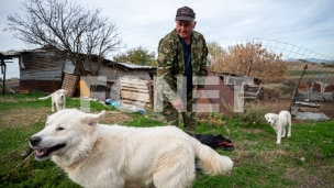 Odobren put ljubimaca u EU